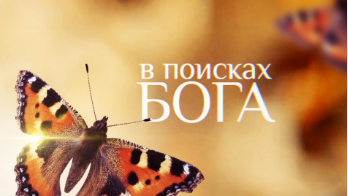 В поисках Бога