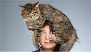 Кот на голове хозяина